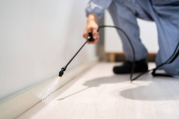 Licensed Termite Control service in Linthicum, MD - Nex Pest Control
