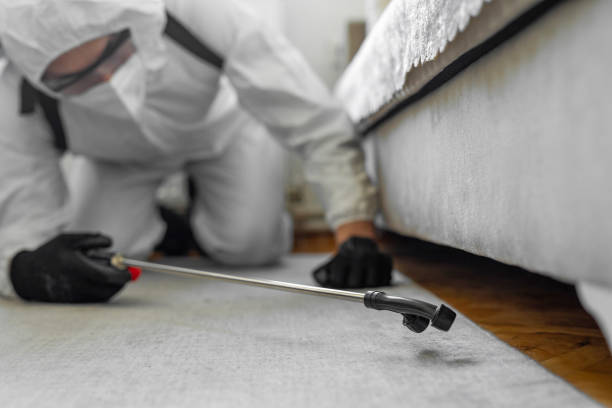 Professional Termite Control technician working in Linthicum, MD