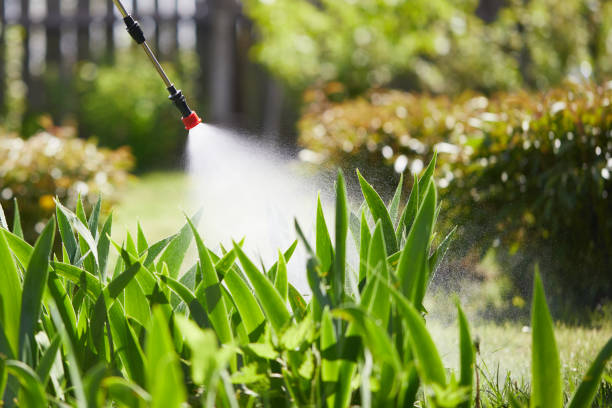 24/7 Emergency Termite Control experts in Linthicum, MD