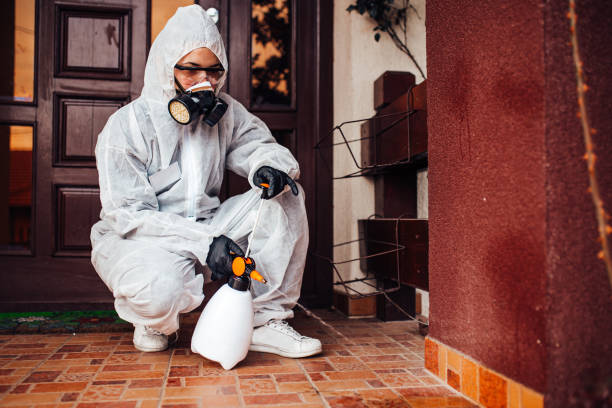 Reliable Termite Control contractor in Linthicum, MD by Nex Pest Control