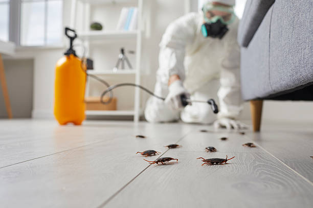 Affordable Termite Control solutions in Linthicum, MD