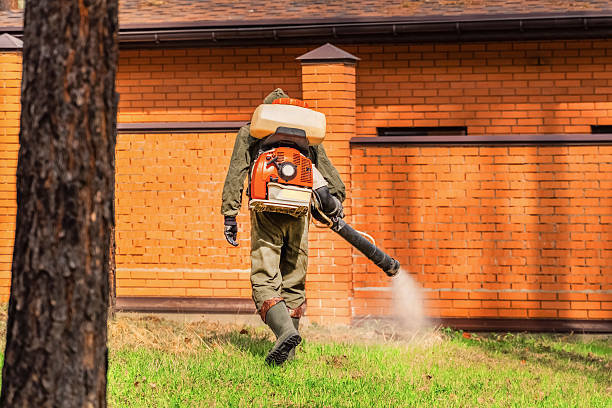 Top rated local Termite Control specialists in Linthicum, MD